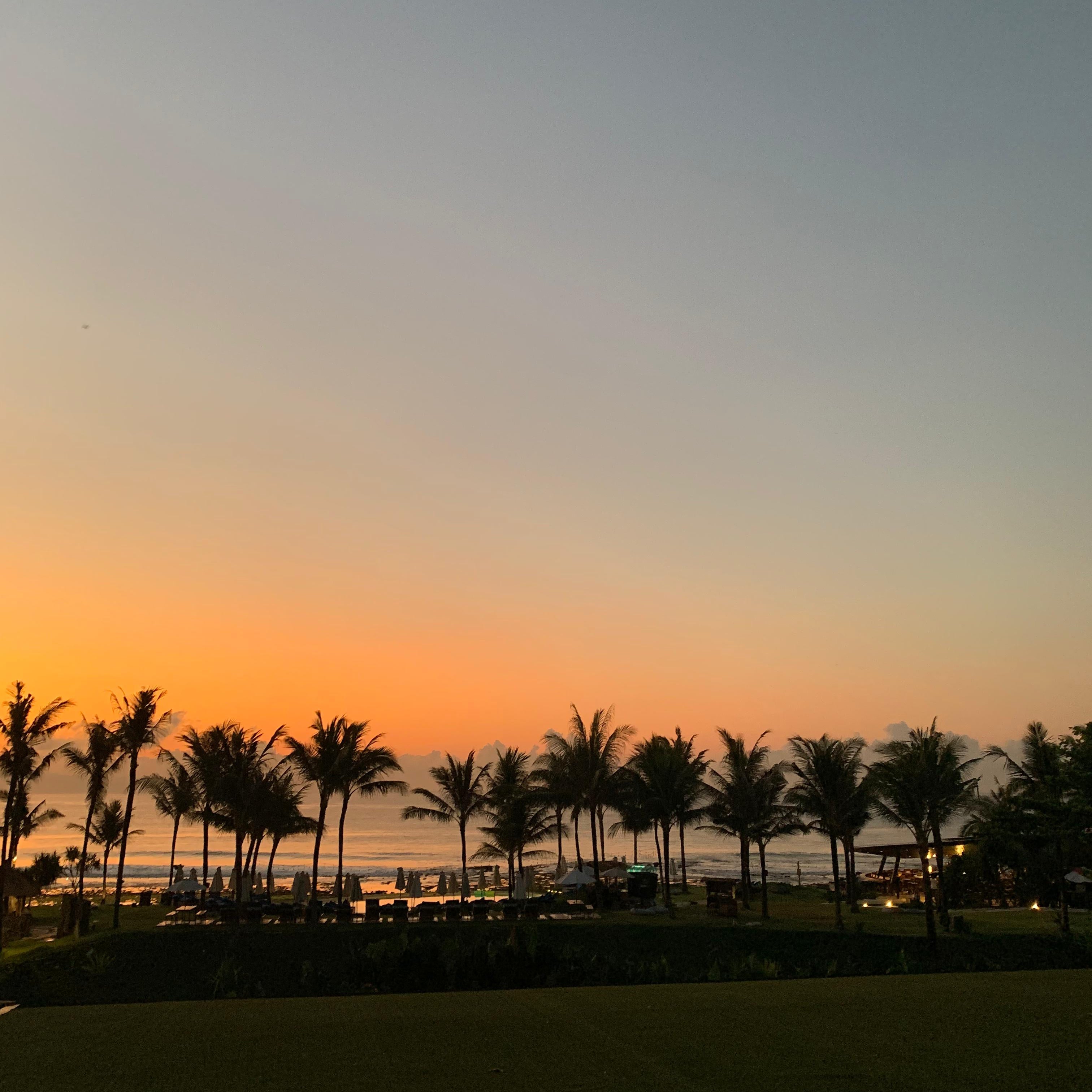 Yang & Somatics: Yin Unwind Uddannelse på Bali start d. 16. nov. (DEPOSITUM)