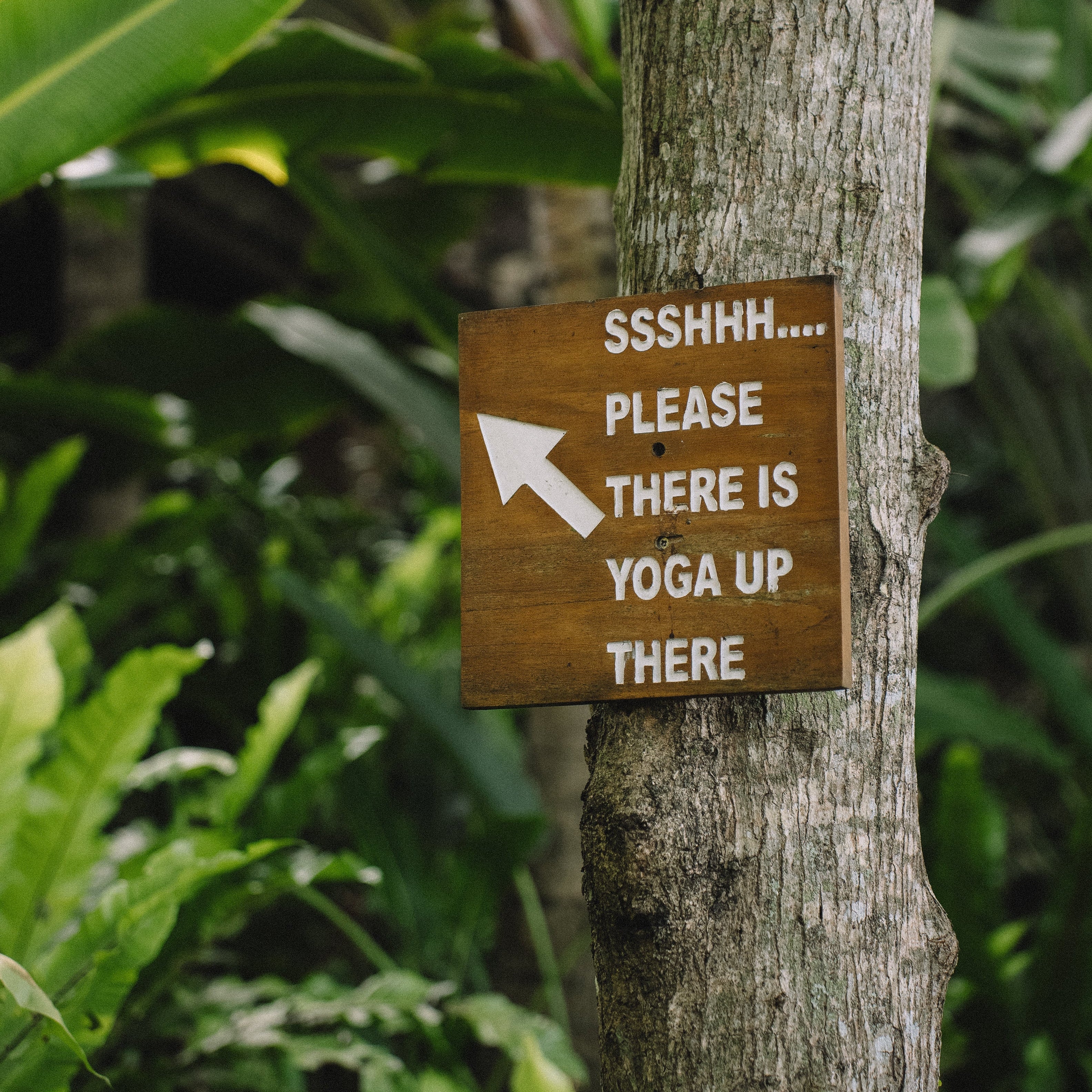 Yang & Somatics: Yin Unwind Uddannelse på Bali start d. 16. nov. (DEPOSITUM)