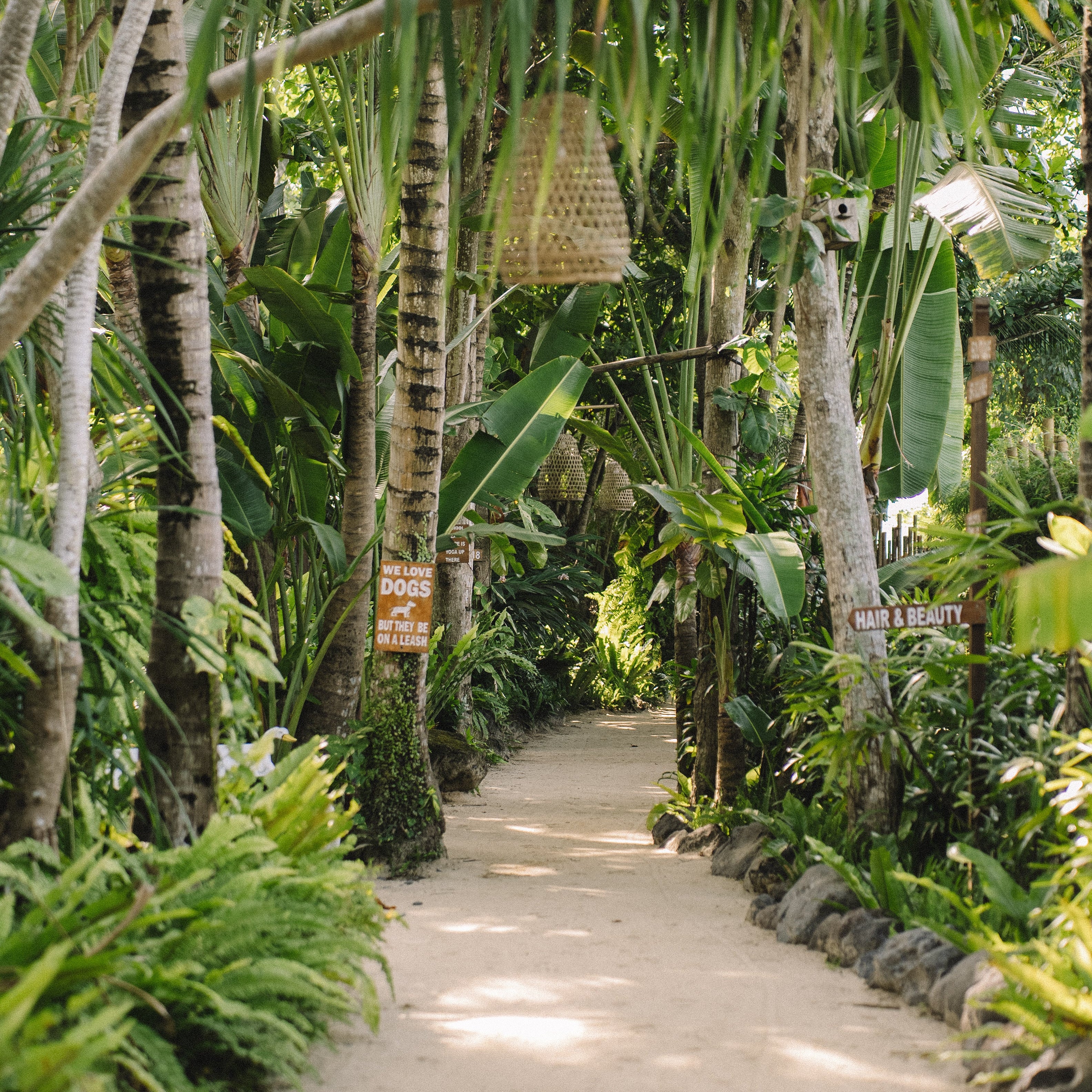 Yang & Somatics: Yin Unwind Uddannelse på Bali start d. 16. nov. (DEPOSITUM)