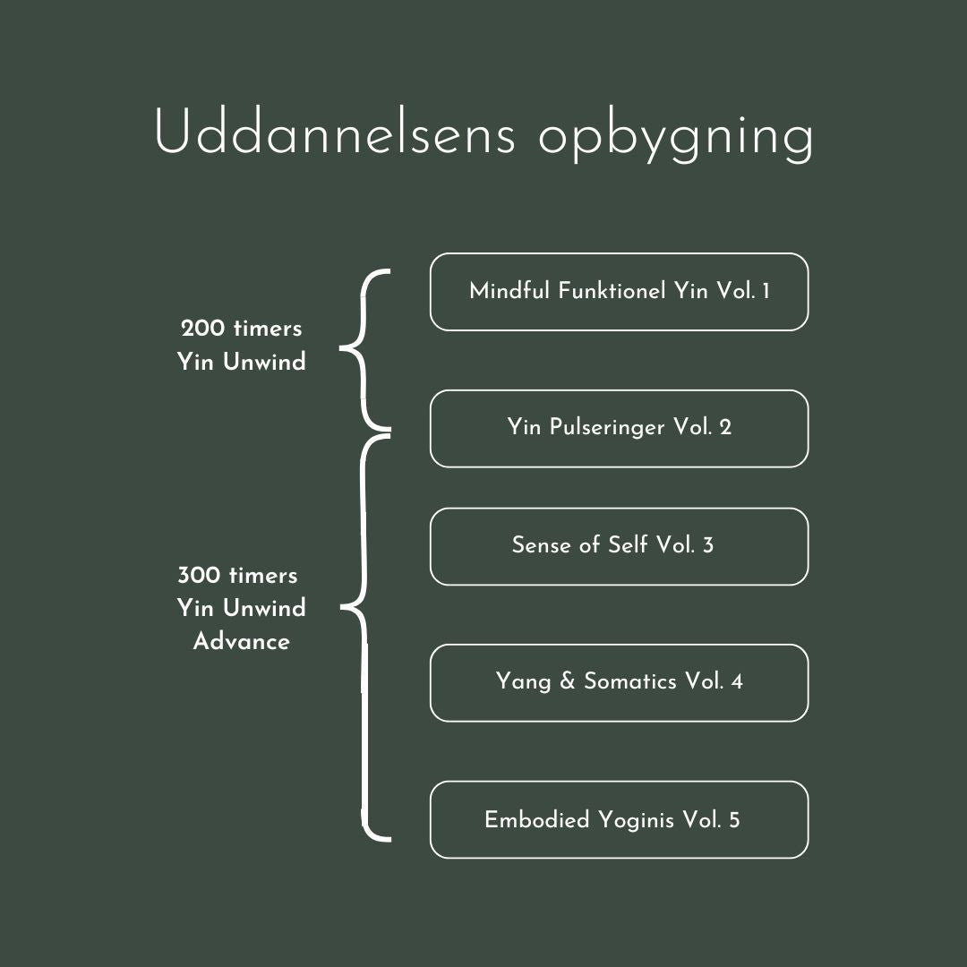 Din Krop, Din Yoga: Yin Unwind Uddannelse i Kbh start d. 16. juni