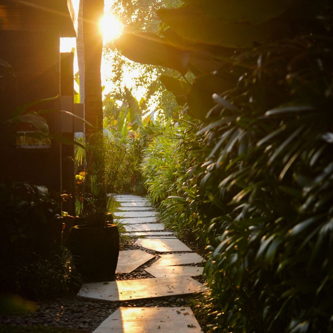 Yang & Somatics: Yin Unwind Uddannelse på Bali start d. 16. nov. (DEPOSITUM)