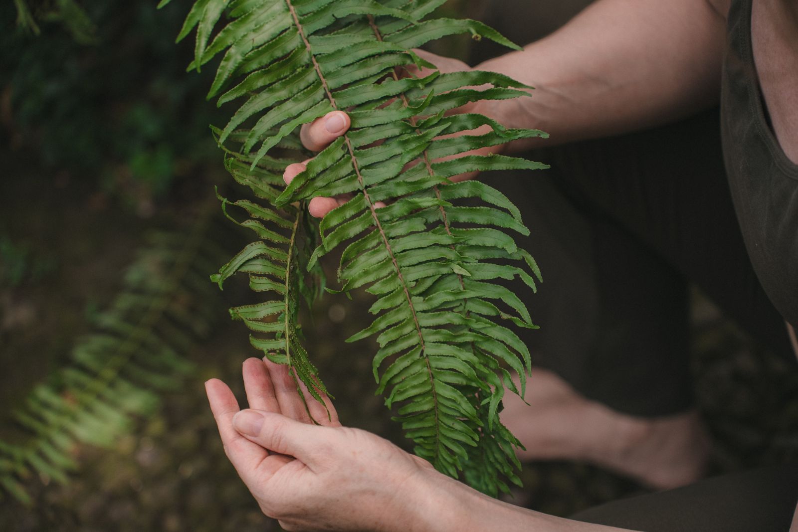 Hvad er IFS – og hvorfor giver det så god mening for mange?