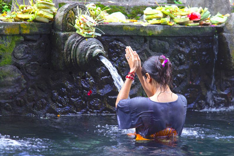 Bali Guide: 8 steder du bare må prøve at spise i Ubud + 2 bonus tips