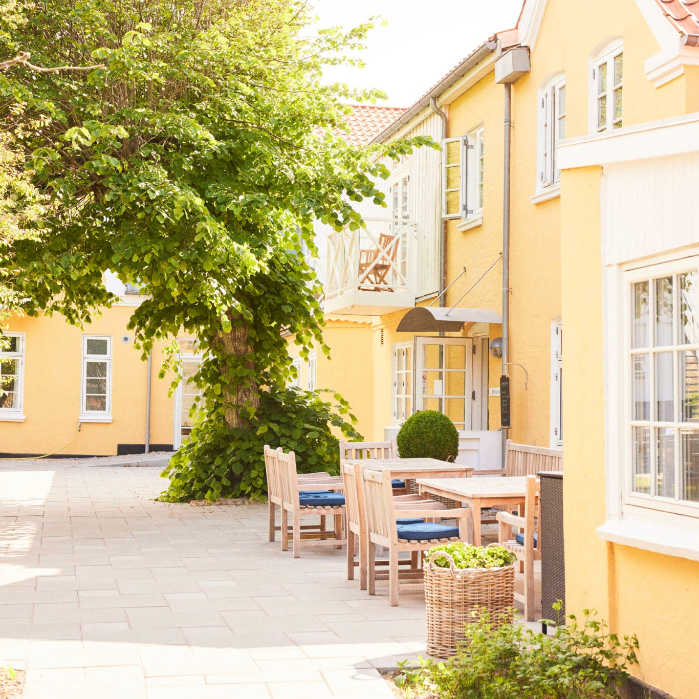 Yin Unwind retreat i Skagen · 10.-12. september (DEPOSITUM)