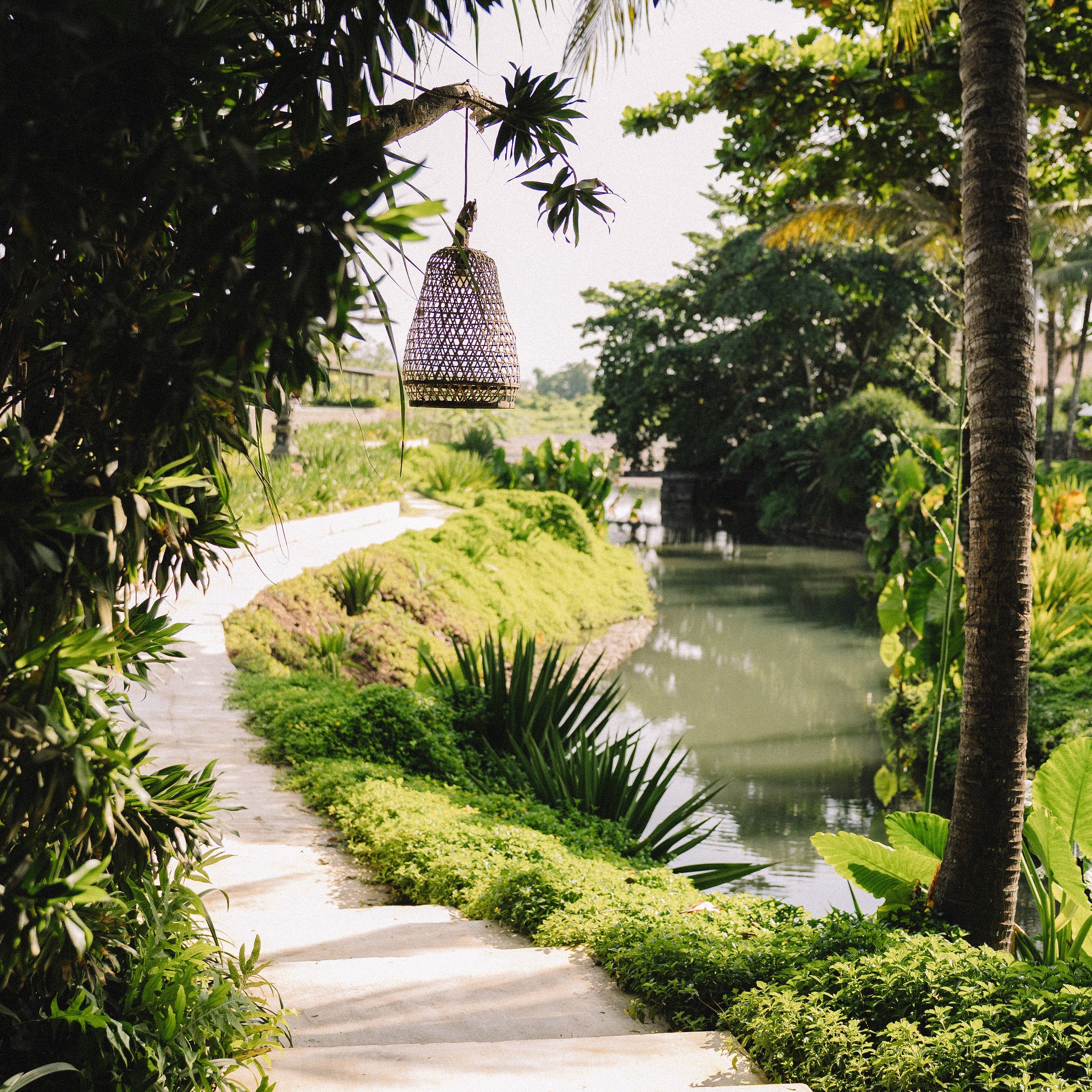 Yang & Somatics: Yin Unwind Uddannelse på Bali start d. 16. nov. (DEPOSITUM)