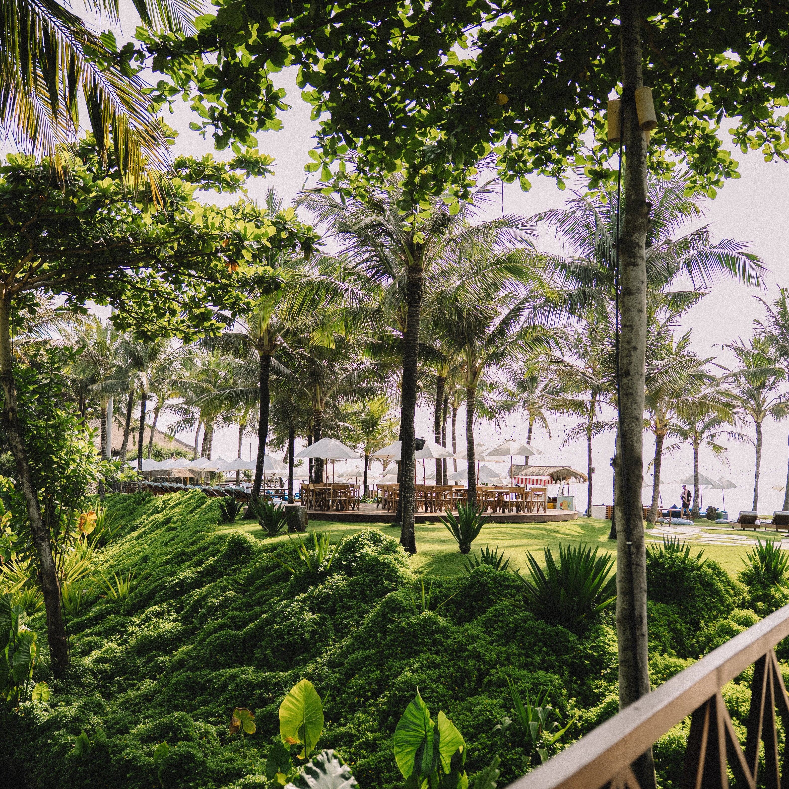 Yang & Somatics: Yin Unwind Uddannelse på Bali start d. 16. nov. (DEPOSITUM)