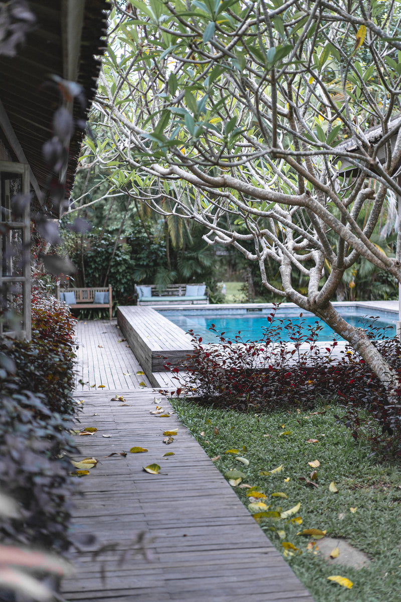Yin Pulserings retreat på Bali, opstart d. 29. okt. i enkeltværelse - 1. restbetaling