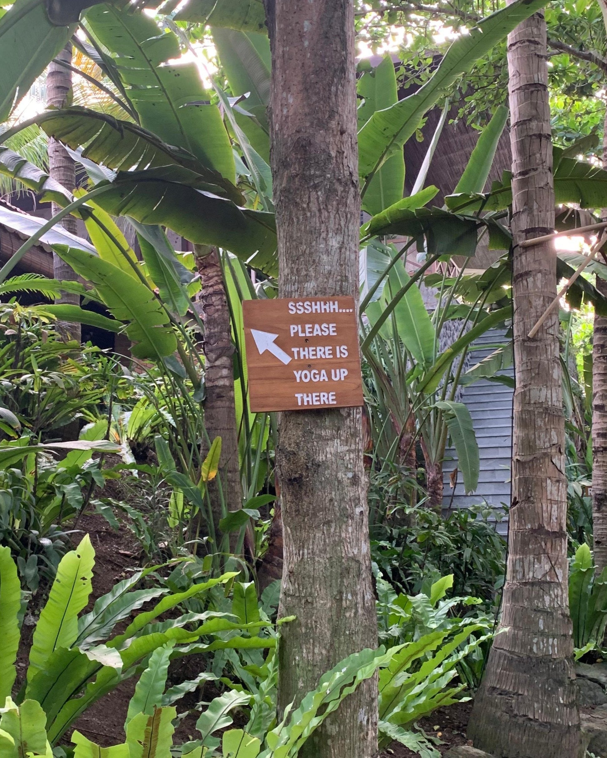 IFS retreat for therapists in Bali - Cece Sykes