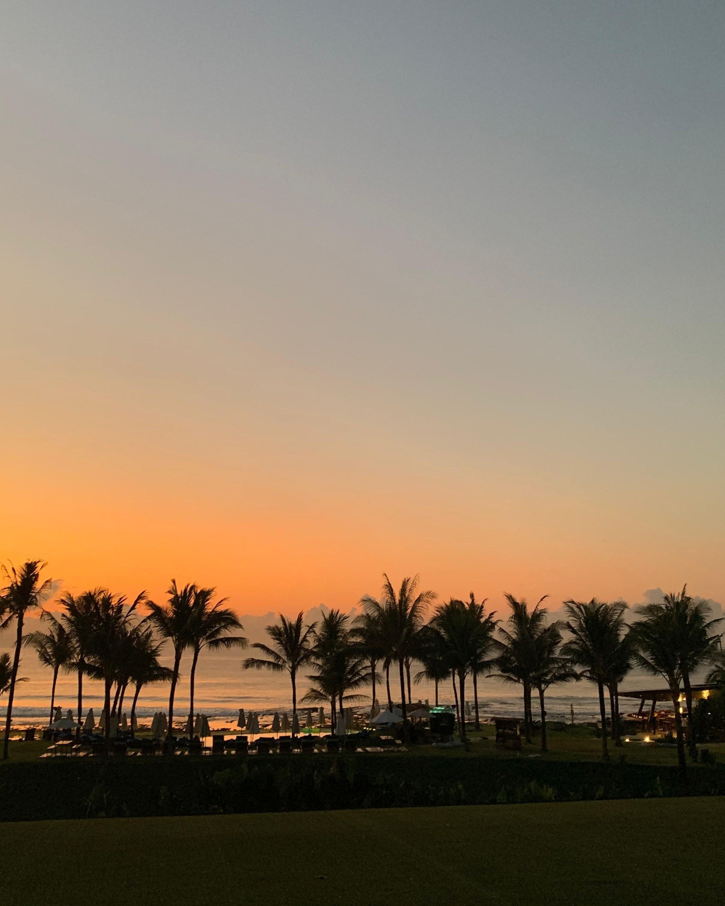 IFS retreat for therapists in Bali - Cece Sykes