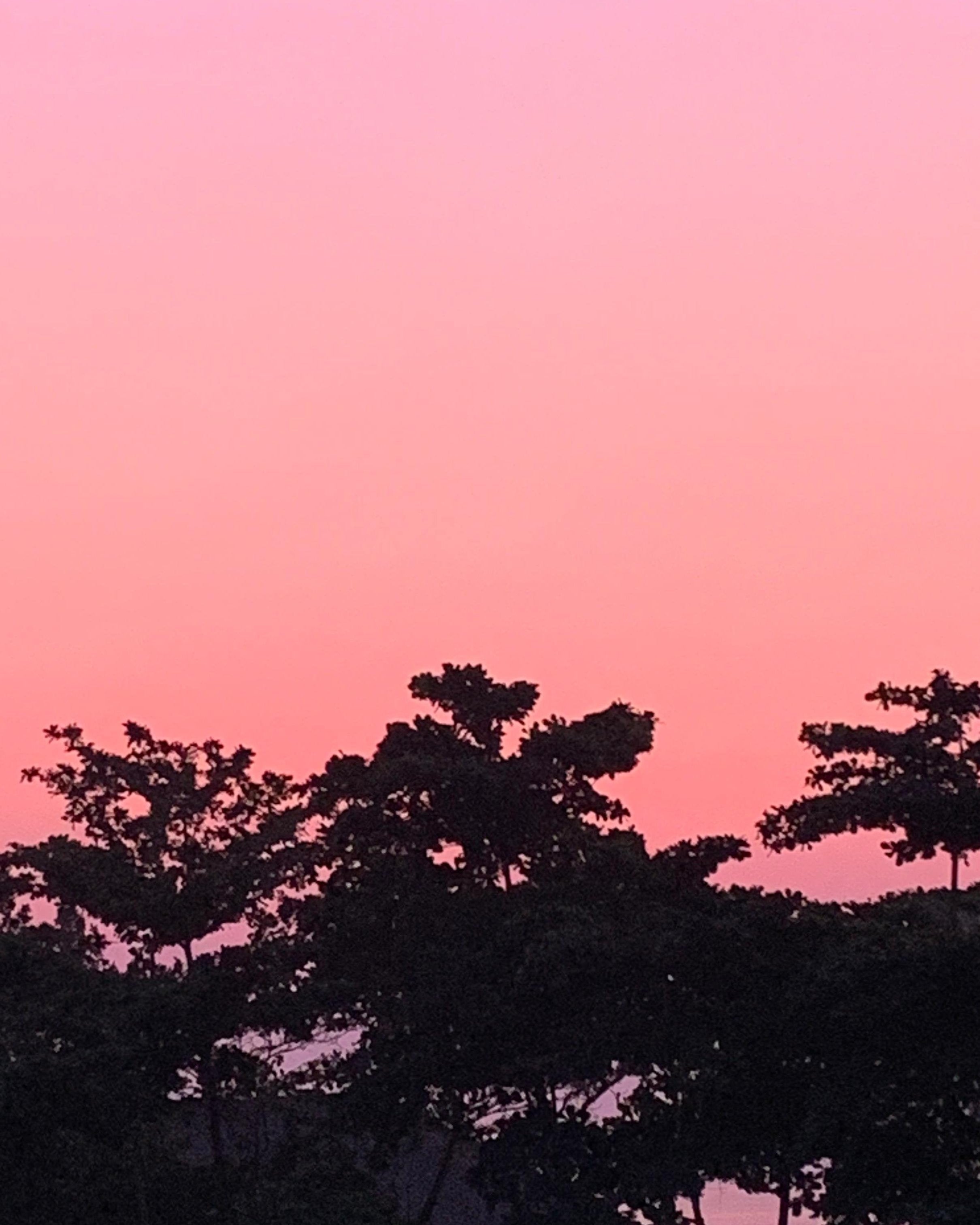 IFS retreat for therapists in Bali - Cece Sykes