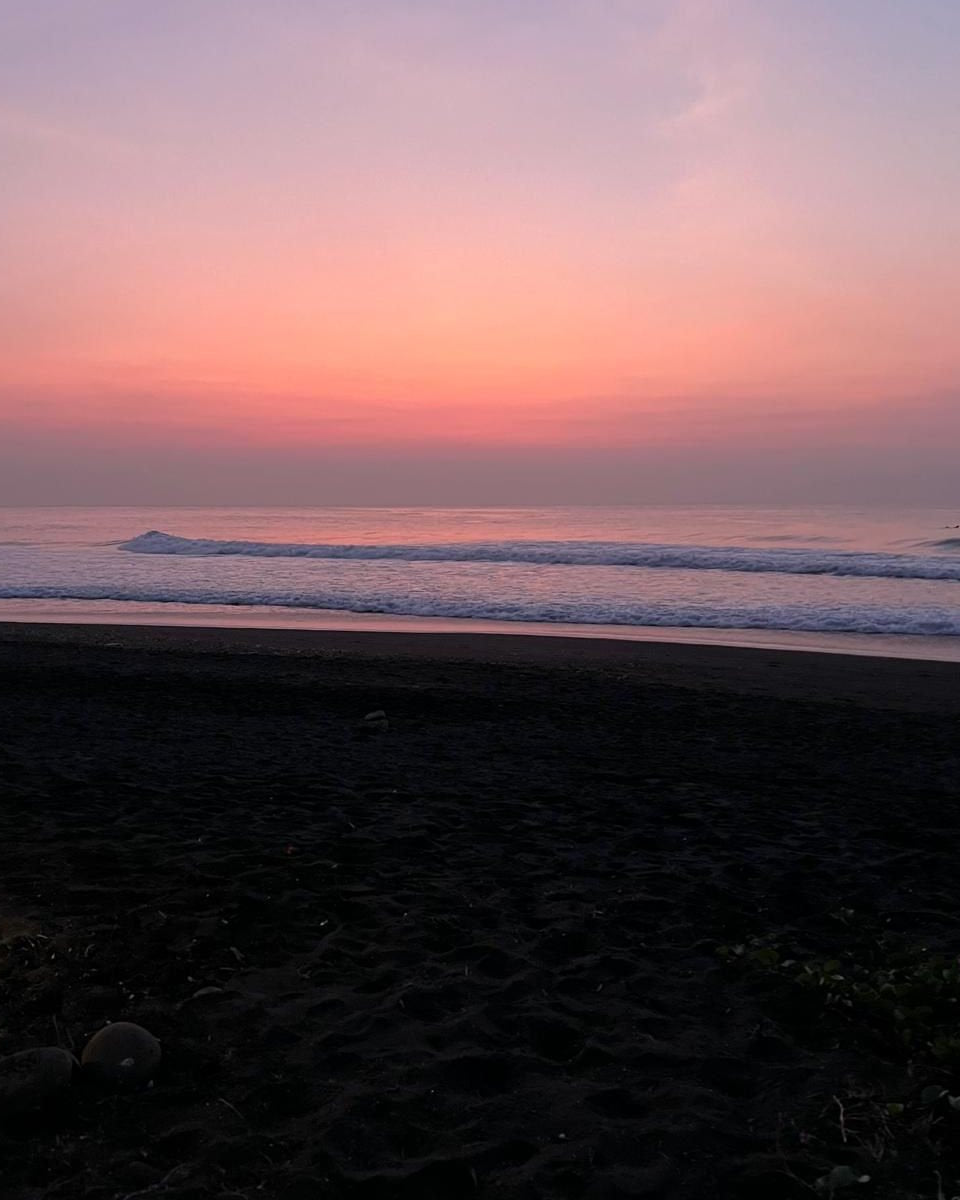 IFS retreat for therapists in Bali - Cece Sykes