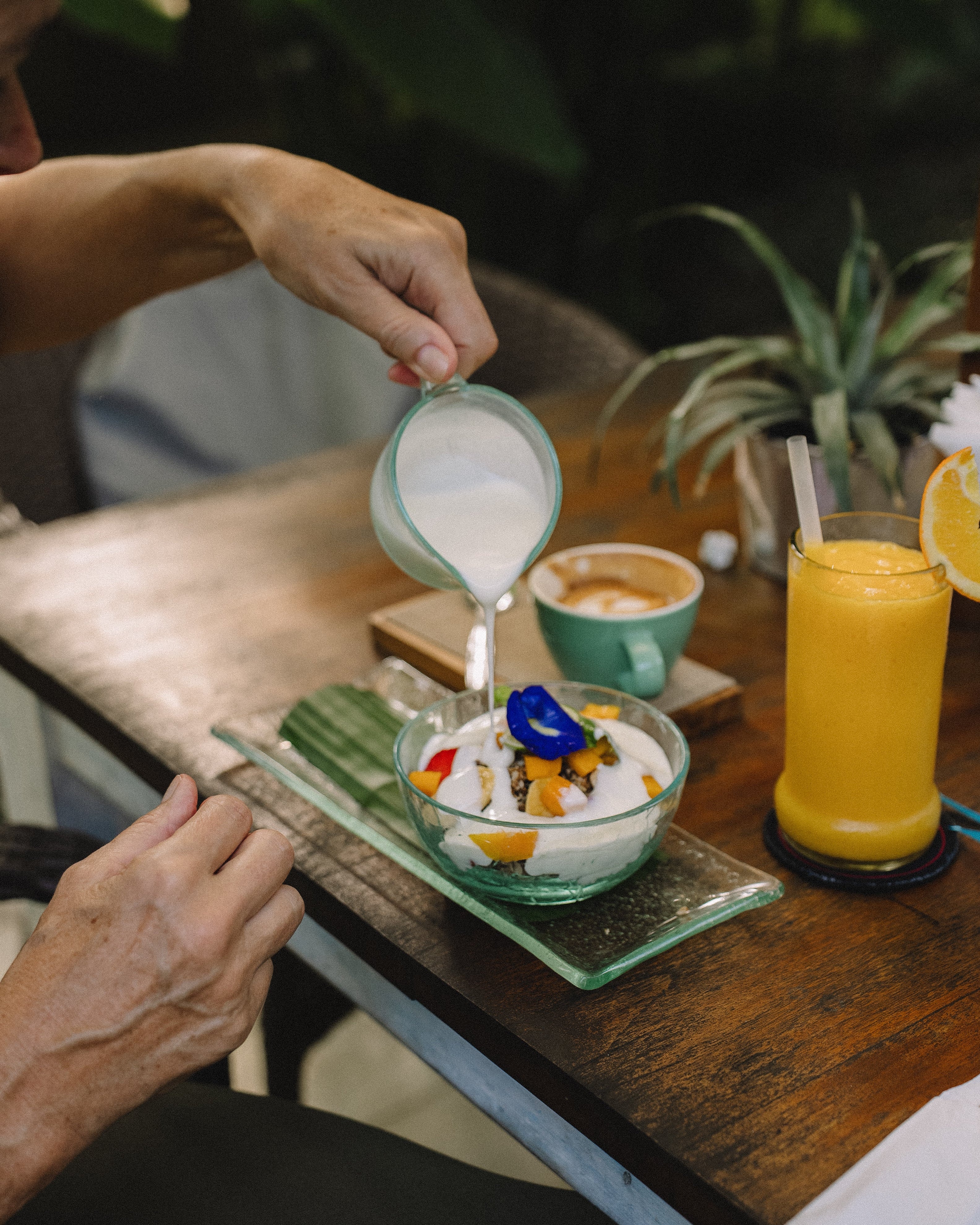 IFS retreat for therapists in Bali - Cece Sykes