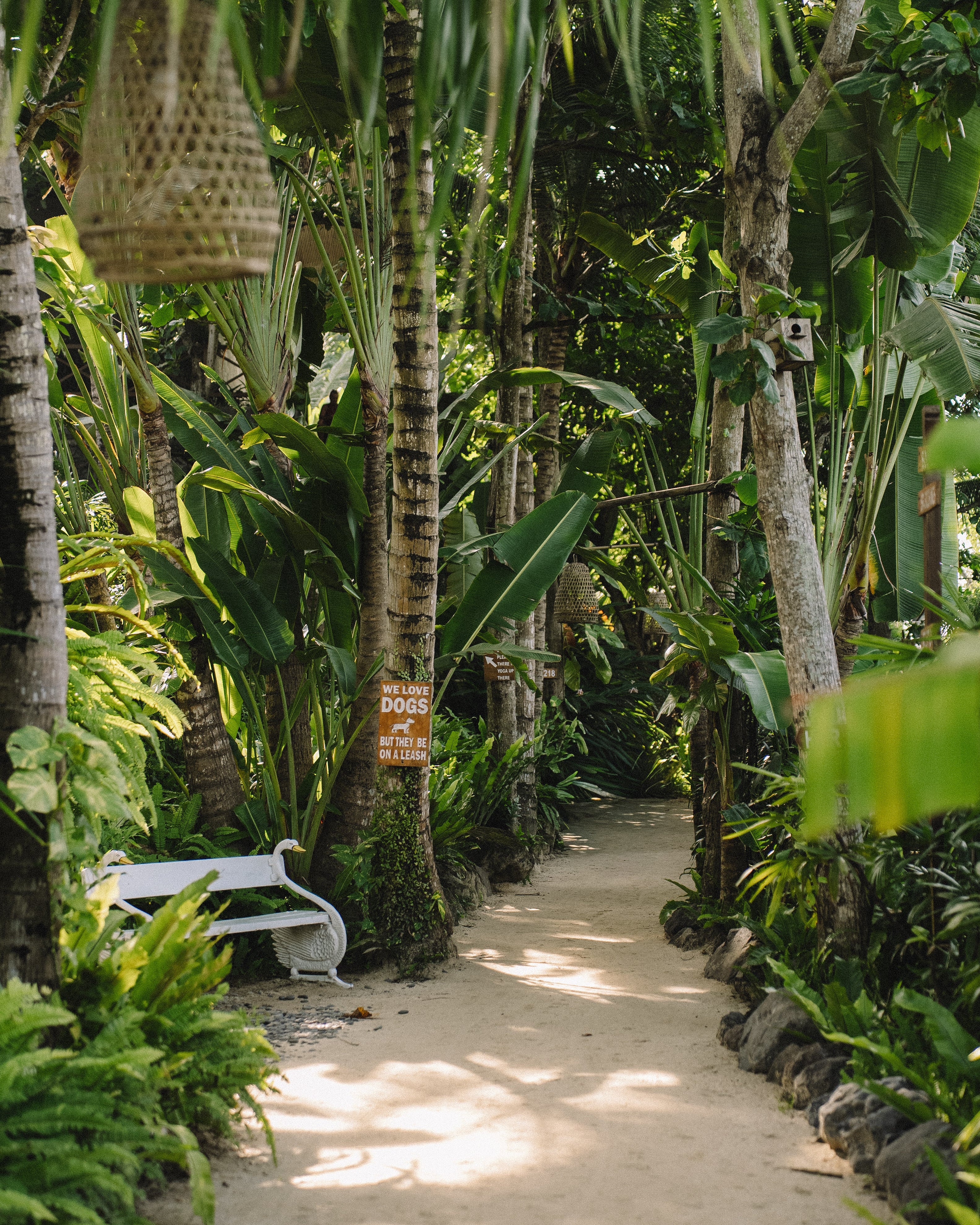 IFS retreat for therapists in Bali - Cece Sykes