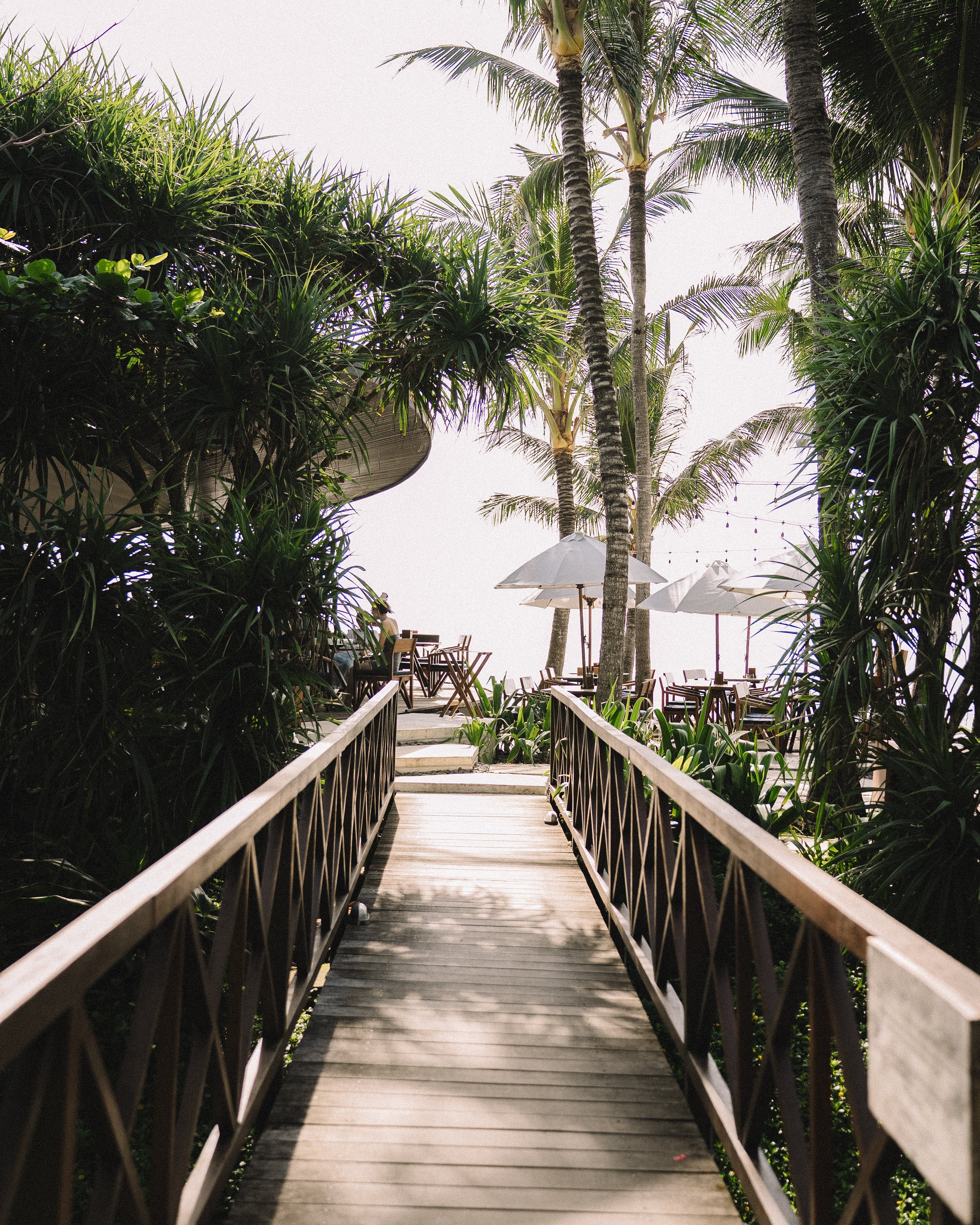 IFS retreat for therapists in Bali - Cece Sykes