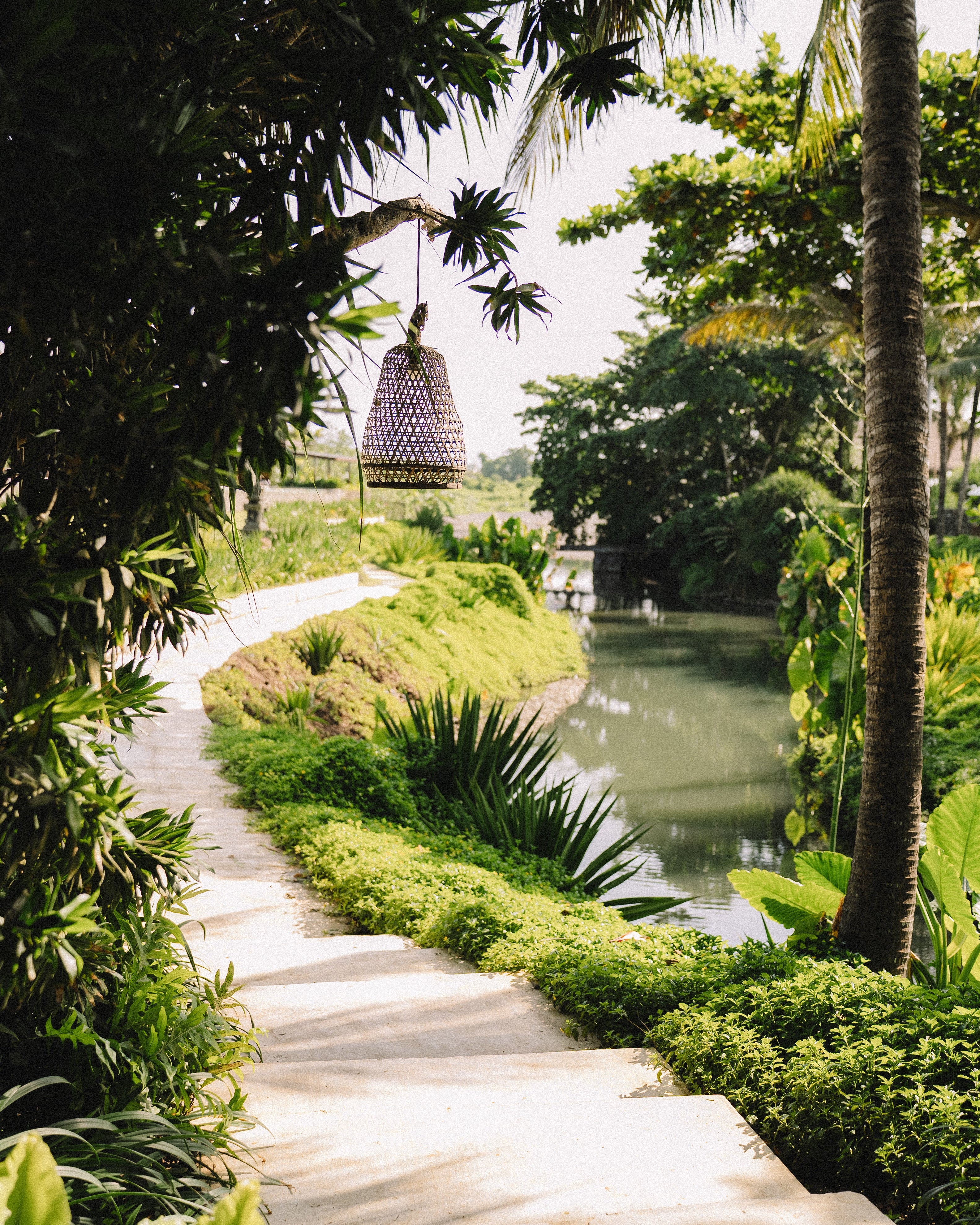 IFS retreat for therapists in Bali - Cece Sykes