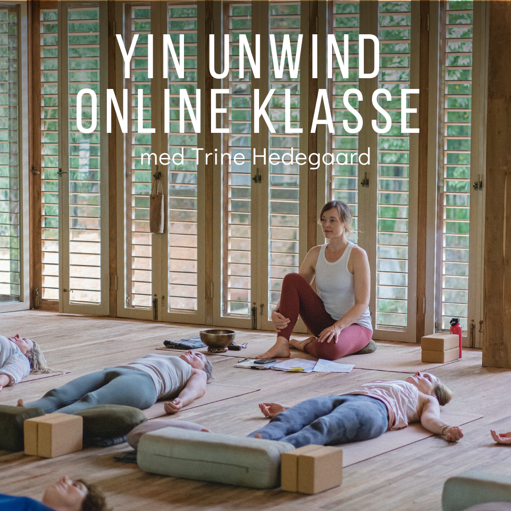 Yin Unwind live online klasse d. 4. oktober kl. 8:30-10