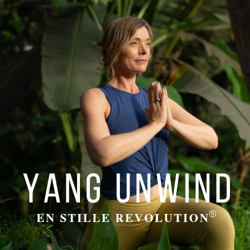 Yang Unwind Workshop: Yang & somatics d. 29. juni i Hvalsø kl. 15-17:30